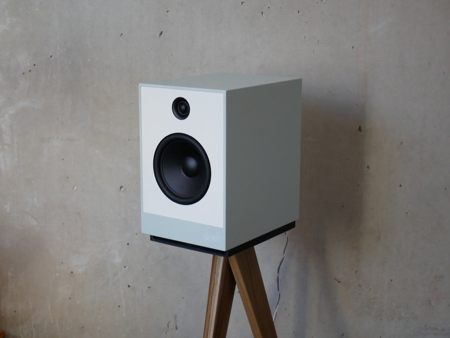 Guru Audio 12 Monitor Speakers | Guru Audio Loudspeakers at